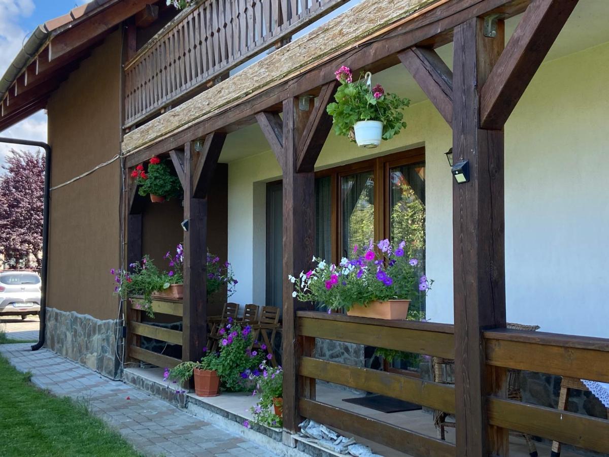 Pensiunea Rares Bistrita Bargaului Екстериор снимка